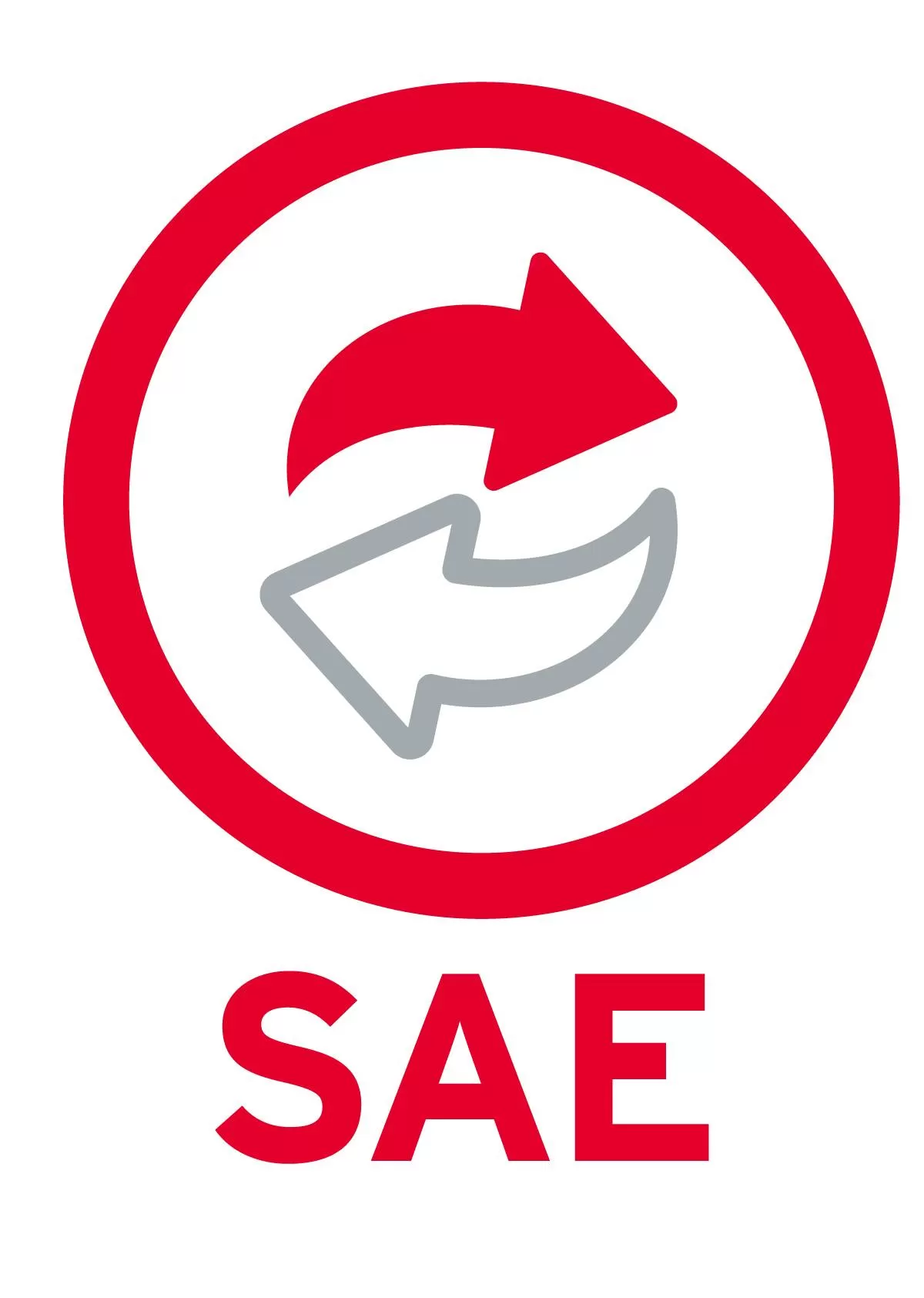 ACTUALIZACION 1 USUARIO ADICIONAL SAE 10 SAEL1AN (FISICO)