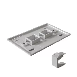 Placa de Pared 2 Puertos BELDEN AX102655, Blanco, De plástico