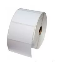 Etiquetas TT PCM 50000B0013A, Blanco