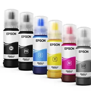 Cartucho EPSON T555120-AL, Black Dye, Cartucho