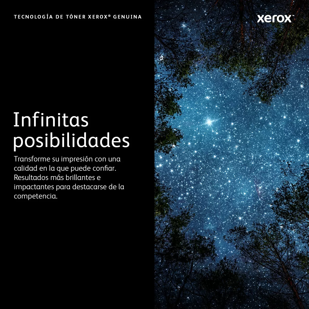 XEROX 106R03747 TONER MAGENTA ESTÁNDAR