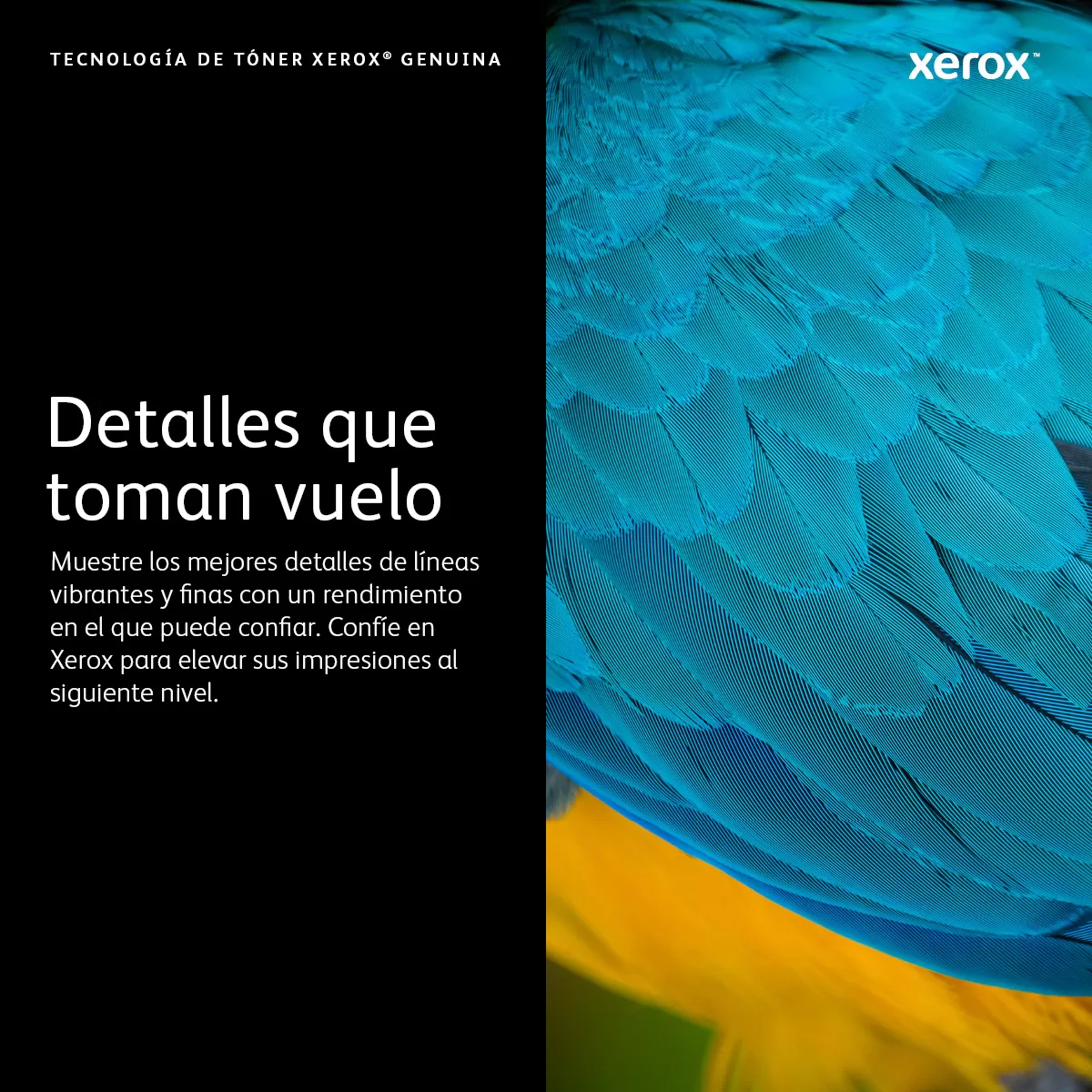XEROX 006R04388 TONER CYAN 1500 PAGINAS - Imagen 3