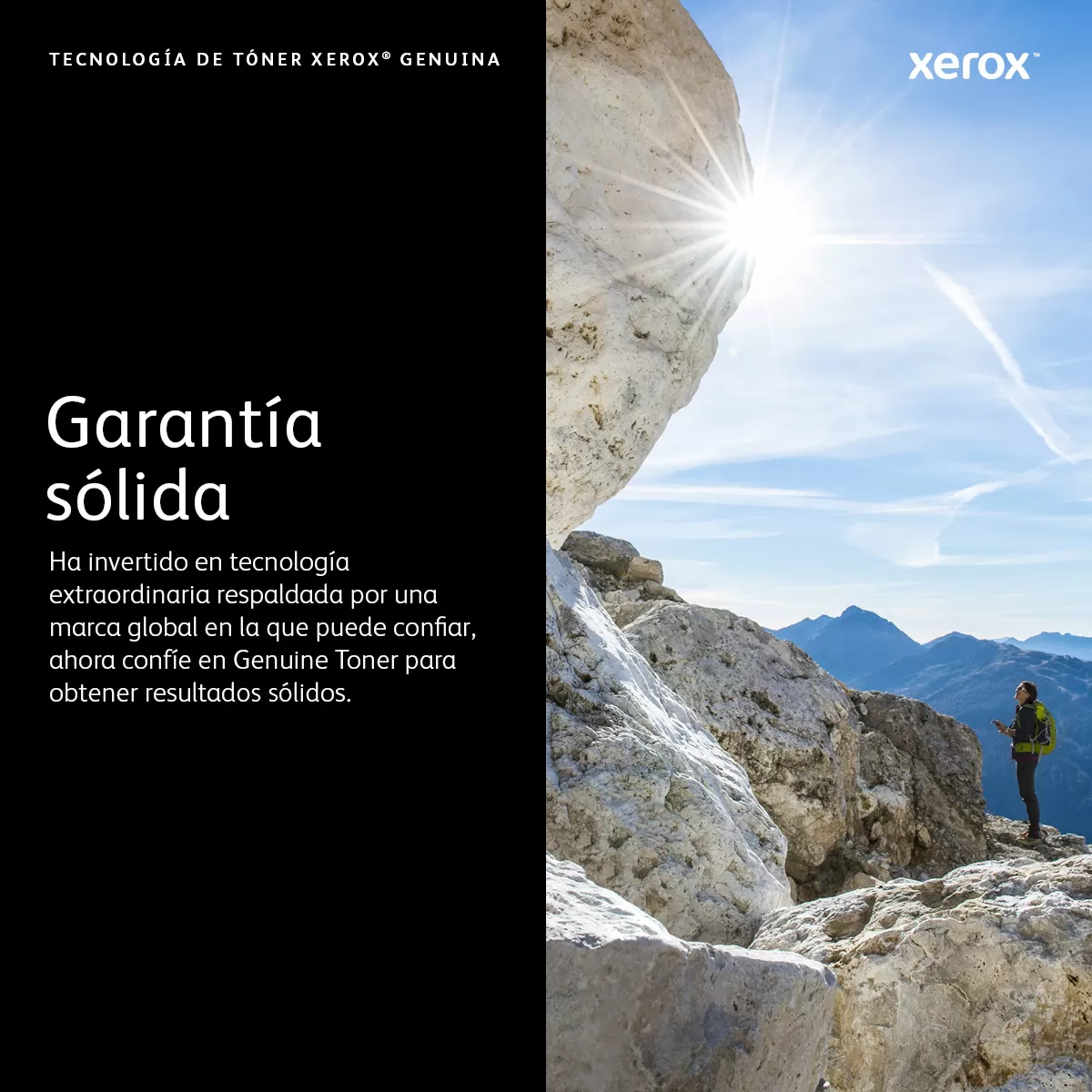 XEROX 006R04388 TONER CYAN 1500 PAGINAS - Imagen 5